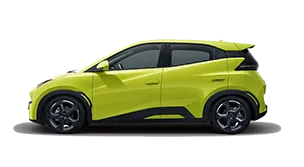 BYD Dolphin Surf